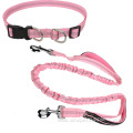 Nylon Dog Leash Material With Pouch Waist Bag